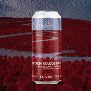 Stormy Hitachi Seaside Park