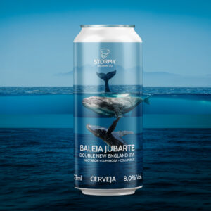Stormy Baleia Jubarte